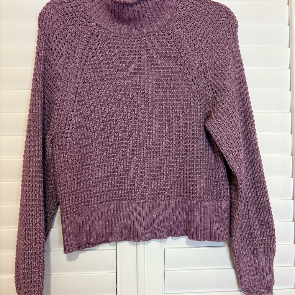 American Eagle Outfitters Mauve Turtleneck Sweater